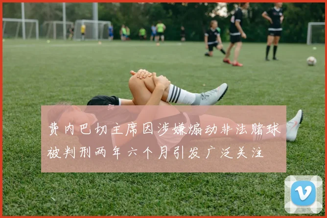 费内巴切主席因涉嫌煽动非法赌球被判刑两年六个月引发广泛关注
