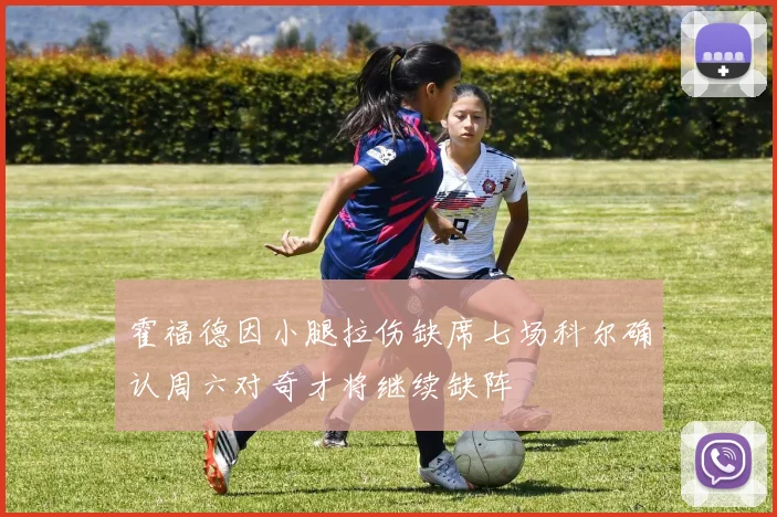 霍福德因小腿拉伤缺席七场科尔确认周六对奇才将继续缺阵