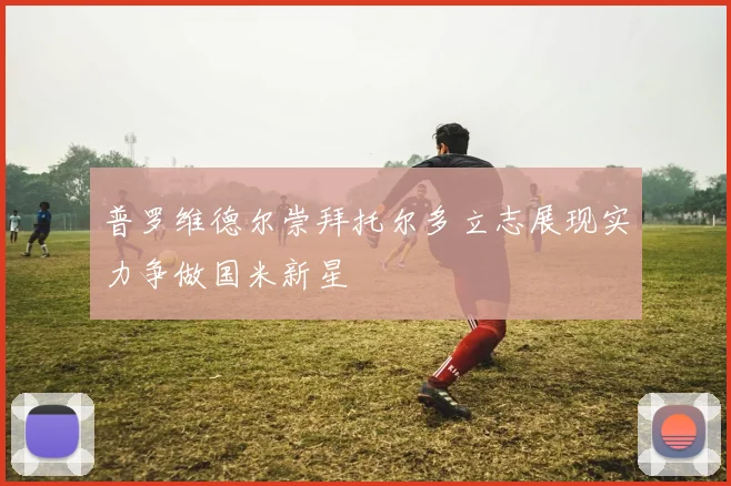 普罗维德尔崇拜托尔多立志展现实力争做国米新星
