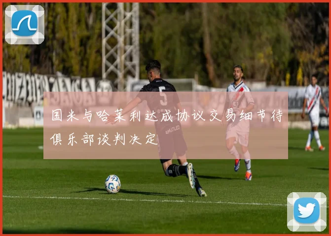 国米与哈莱利达成协议交易细节待俱乐部谈判决定